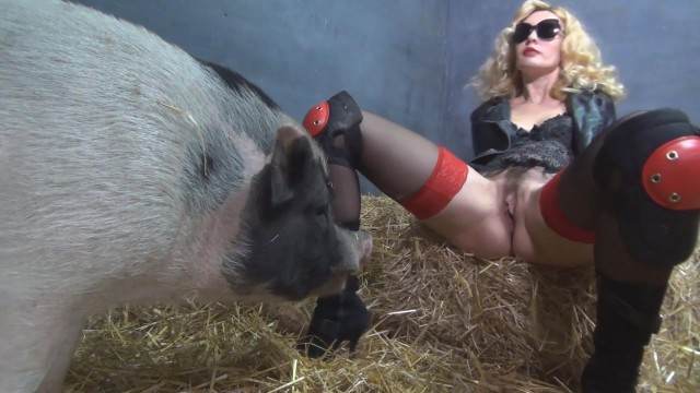 cachorro gozando xoxota sexo bizarro Bestiality woman having sex with animals novinha gostosa brasileira dando a sua buceta para o cavalo Porno Bizarro - Sexo Gratis cachorro comendo buceta