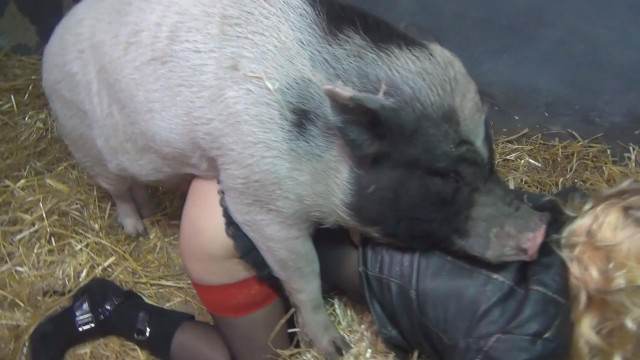 cachorro gozando xoxota sexo bizarro Mulher latina fazendo sexo com cavalo Lise private club animalsex Mulher batendo punheta pro cachorro Zoofilia com uma loira gostosa