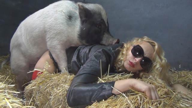 cachorro gozando xoxota sexo bizarro pornô zoofilia com oral Filme pornô com um enorme pau de cavalo cachorro de pau duro novinha gostosa brasileira dando a sua buceta para o cavalo