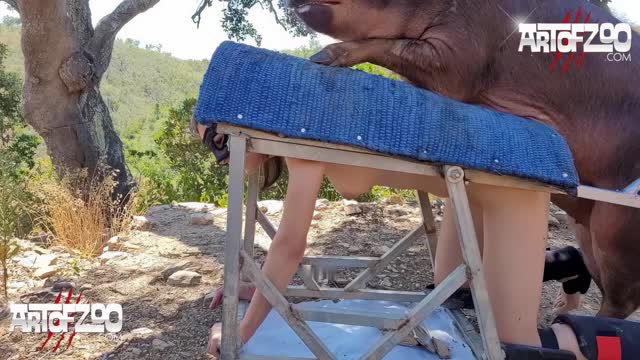 Filmes para Download xoxota fodas com animais Mulheres brasileiras trepam com garanhão Assista pornografia de bestialidade gratuita Mulher Transando Com Cachorro Zoofilia com uma loira gostosa