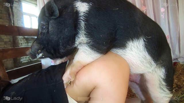 cachorro gozando dogbond peluda  sexo com animais cavalo de pau duro cachorro ejaculando Mulheres brasileiras trepam com garanhão Cavalo de Pau Molhado e Mulher Chupando
