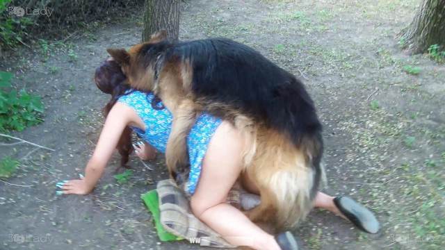 cachorro gozando dogbond peluda  sexo com animais vídeos pornôs de animais grátis Cavalo gozando dentro da buceta de uma loira cavala Filme pornô com um enorme pau de cavalo Puta transando com um cavalo em pé
