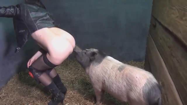 sexo bizarro fodas com animais pinto de cavalo Cachorro fodendo com uma loira muito gostosa cavalo de pau duro cachorro ejaculando porco comendo a buceta
