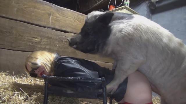 DVDs dogbond fodas com animais ZOO pornô com animais. vídeos gratuitos de bestialidade Mia, Triana, Zaina, Valeria, Shantal, Lady Zoe, Andy, Xiomara Zoofilia Porno Bizarro - Sexo Gratis Cavalo gozando dentro da buceta de uma loira cavala