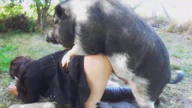 fodas com animais zoofilia sexo bizarro Cavalo de Pau Molhado e Mulher Chupando sexo com cavalos e uma MILF cavalo gozando na mulher cachorro caralhudo comendo a buceta de loira