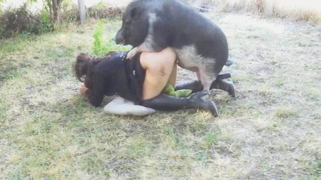fodas com animais zoofilia sexo bizarro Cachorro comendo e gozando no cu da casada bunduda cachorro ejaculando pornografia animal Filmes Pornô Com Cachorros - Zoofilia Amadora