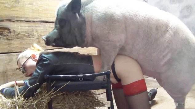 fodas com animais peluda  sexo com animais cachorro gozando sexo com cavalos e uma MILF Cachorro comendo e gozando no cu da casada bunduda Porco Comendo Cuzinho De Mulher Quarentona Filme pornô com um enorme pau de cavalo