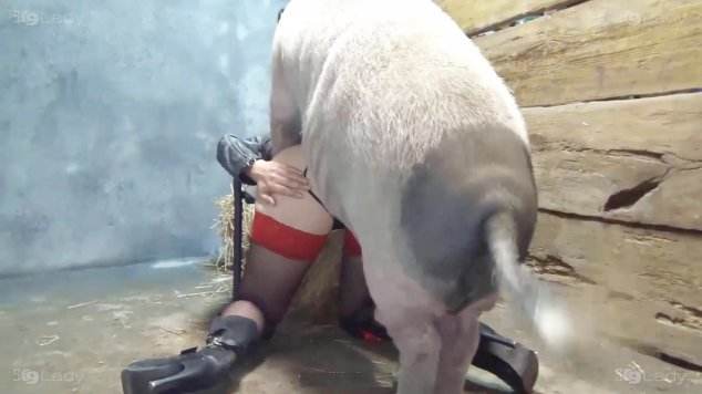 fodas com animais peluda  sexo com animais cachorro gozando Filme pornô de zoofilia com uma mulher indiana melhores filmes de bestialidade de todos os tempos Mulher Negra chupando pica de cavalo mulher chupando a pica do cachorro