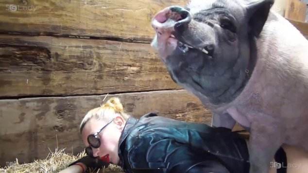 fodas com animais peluda  sexo com animais cachorro gozando Seamless mulher chupando a pica do cachorro Zoosection zoofilia selvagem