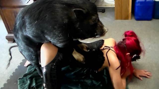 DVDs sexo bizarro xoxota sexo com cavalos e uma MILF Raven, DogWoman, Alison, Yasmin, Gisele, Vixen, Cupcake, Lise, Sonia Zoofilia Lise private club animalsex Mulher Transando Com Cachorro