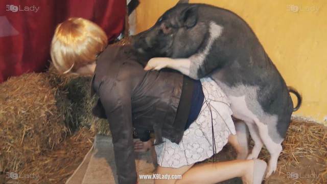 pinto de cavalo DVDs fodas com animais Filme pornô com um enorme pau de cavalo Mulher batendo punheta pro cachorro vídeos pornôs de animais grátis filmes zoofiliade  brasileirinhas