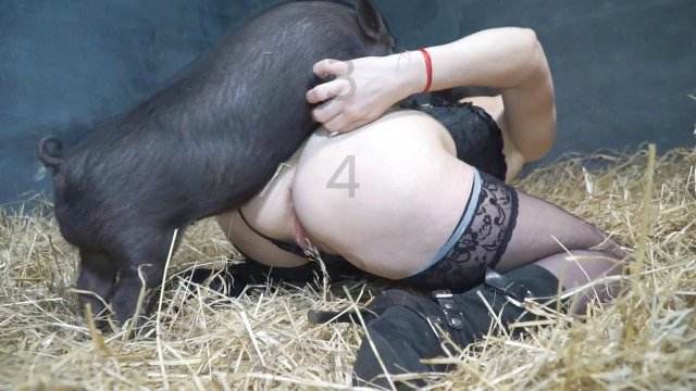 cabeluda zoofilia dogbond Mulher batendo punheta pro cachorro Cachorro comendo o Cu da empregada Mulheres brasileiras trepam com garanhão novinha gostosa brasileira dando a sua buceta para o cavalo