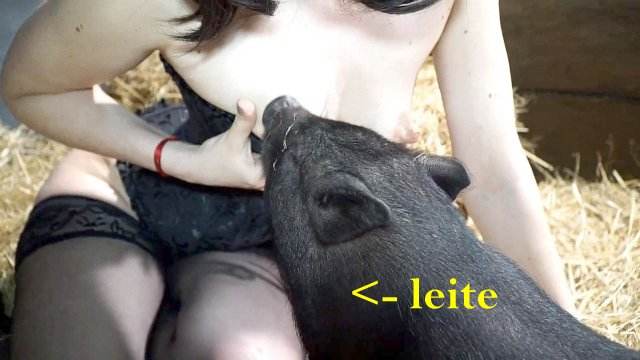 cabeluda zoofilia dogbond Mulher Transando Com Cachorro Mulher Negra chupando pica de cavalo Seamless Cavalo de Pau Molhado e Mulher Chupando