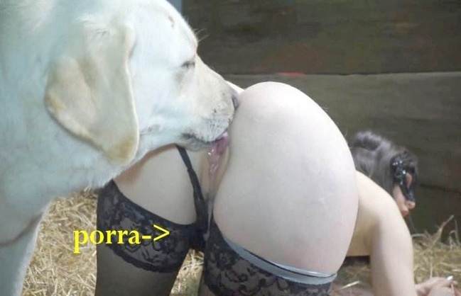 cabeluda zoofilia dogbond mulher de quatro no chiqueiro dando para um porco melhores filmes de bestialidade de todos os tempos Mia, Triana, Zaina, Valeria, Shantal, Lady Zoe, Andy, Xiomara Zoofilia cavalo mete com força na buceta