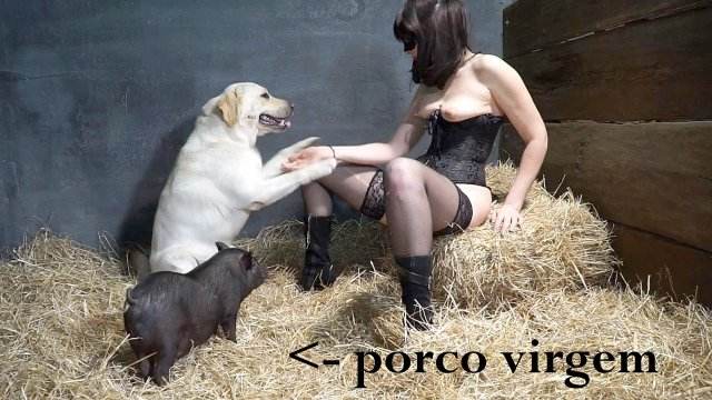 cabeluda zoofilia dogbond Filmes Pornô Com Cachorros - Zoofilia Amadora Lise private club animalsex Cachorro comendo e gozando no cu da casada bunduda Vídeo de sexo bestial grátis
