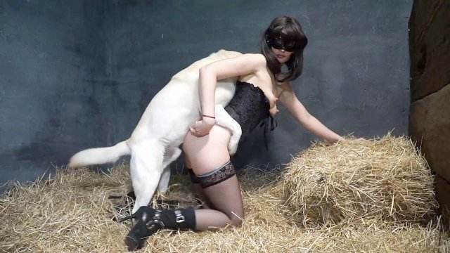 cabeluda zoofilia dogbond porco comendo buceta Filme pornô de zoofilia com uma mulher indiana cavalo gozando na mulher Mulheres brasileiras trepam com garanhão