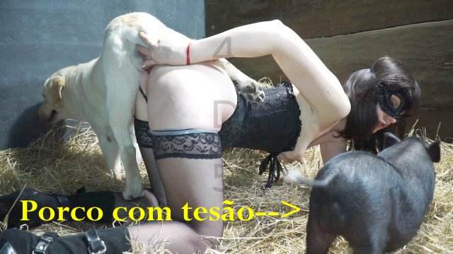 cabeluda zoofilia dogbond Filme pornô de zoofilia com uma mulher indiana novinha gostosa brasileira dando a sua buceta para o cavalo Raven having sex with Dog filmes anal sexual amor zoofílico orgia no zoológico