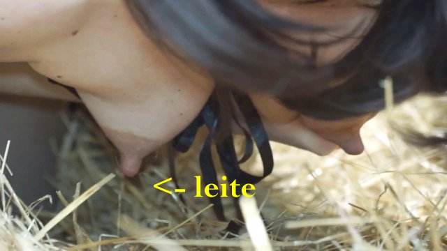 cabeluda zoofilia dogbond vídeos pornôs de animais grátis mulher chupando a pica do cachorro Vídeo de sexo bestial grátis pornô zoofilia com oral