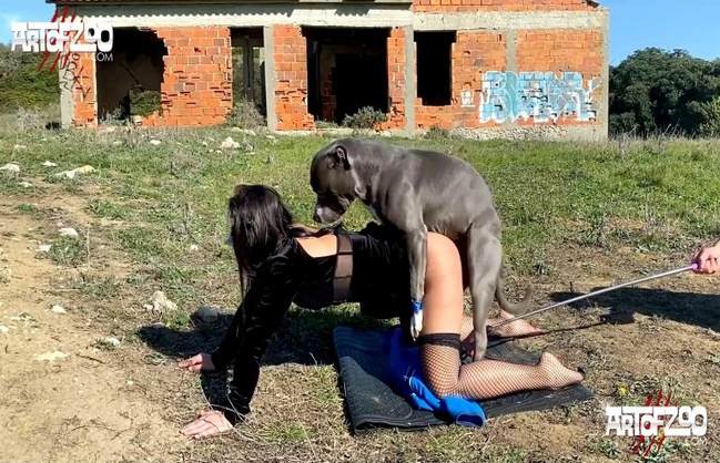 cabeluda pinto de cavalo DVDs Puta transando com um cavalo em pé Seamless Zoosection filmes anal sexual amor zoofílico orgia no zoológico