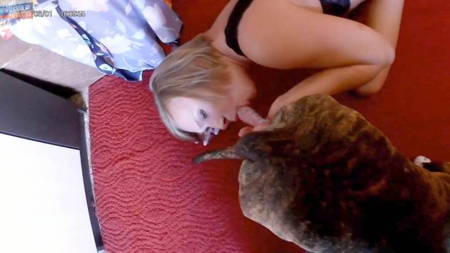 DVDs sexo bizarro Filmes para Download cachorro caralhudo comendo a buceta de loira cachorro comendo buceta Zoofilia com uma loira gostosa Penetração Sexo com cachorro Pornografia de zoológico grátis