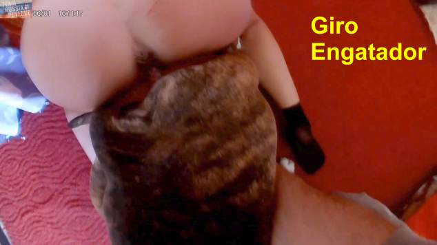 DVDs sexo bizarro Filmes para Download cachorro ejaculando site de tubo de sexo zoo animal Filme pornô com um enorme pau de cavalo Nova tomando uma rolada de porco na vagina