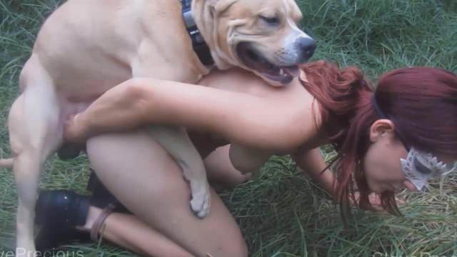 peluda  sexo com animais dogbond DVDs Porco comendo a bucetona da putona com tesão site de tubo de sexo zoo animal cavalo de pau duro Raven having sex with Dog