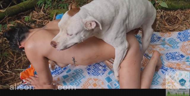 xoxota zoofilia cachorro gozando animal sexo tubo Nova tomando uma rolada de porco na vagina Mulher trepando com cavalão enquanto marido cornao assiste art of zoo