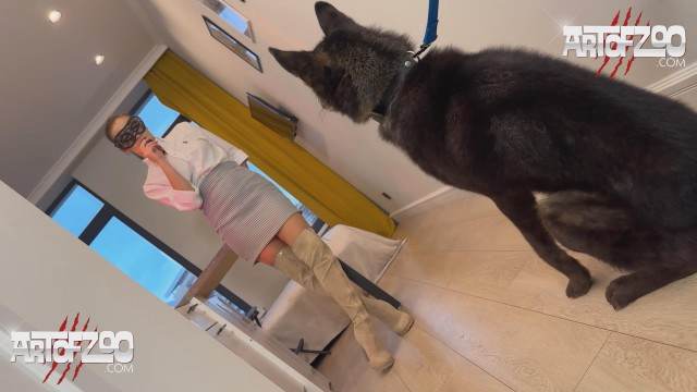 pinto de cavalo peluda  sexo com animais Filmes para Download Assista pornografia de bestialidade gratuita animalsex cachorro caralhudo comendo a buceta de loira Penetração Sexo com cachorro Pornografia de zoológico grátis