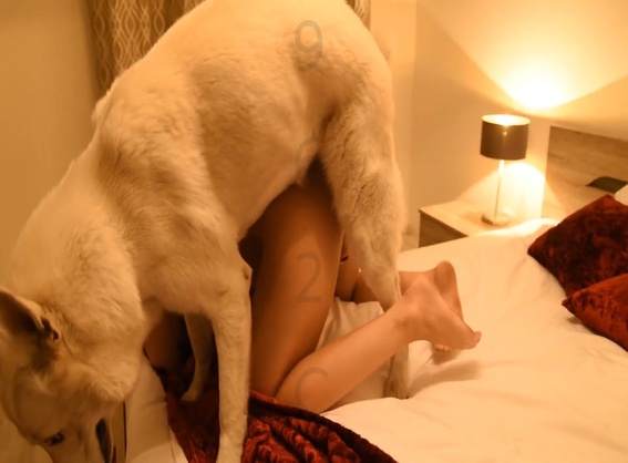 xoxota peluda  sexo com animais cabeluda Bestiality woman having sex with animals namorada loira a transar com cavalo mulher chupando a pica do cachorro Filme pornô com um enorme pau de cavalo