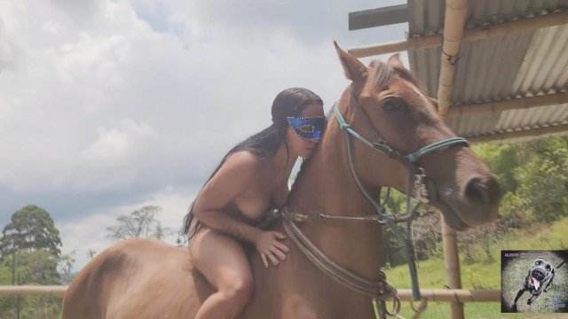 DVDs cachorro gozando cabeluda Cavalo gozando dentro da buceta de uma loira cavala sexo bizarro Cachorro arrombando buceta da dona Puta transando com um cavalo em pé