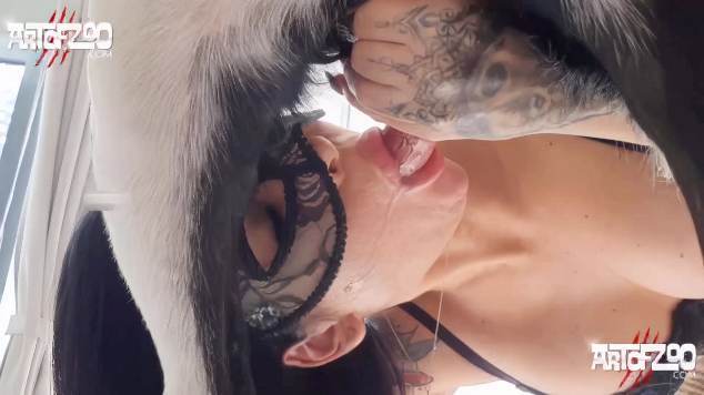 sexo bizarro cabeluda cachorro gozando Cachorro arrombando buceta da dona Lise private club animalsex Raven, DogWoman, Alison, Yasmin, Gisele, Vixen, Cupcake, Lise, Sonia Zoofilia vídeos pornôs de animais grátis