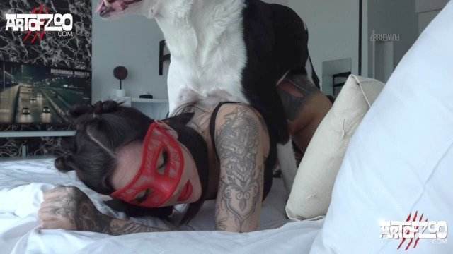 sexo bizarro fodas com animais xoxota cavalo mete com força na buceta Porco Comendo Cuzinho De Mulher Quarentona porco comendo buceta pornô zoofilia com oral