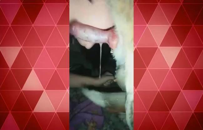 zoofilia xoxota peluda  sexo com animais Mad GloryQuest Japones sexo com cachorro cavalo gozando na mulher Mulher latina fazendo sexo com cavalo Mia, Triana, Zaina, Valeria, Shantal, Lady Zoe, Andy, Xiomara Zoofilia