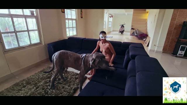 cabeluda peluda  sexo com animais cachorro gozando Filme pornô com um enorme pau de cavalo site de tubo de sexo zoo animal pornô zoofilia com oral Zoofilia com uma loira gostosa