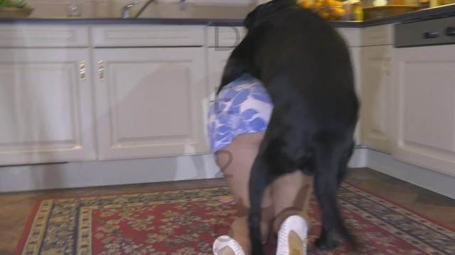 DVDs sexo bizarro dogbond Puta transando com um cavalo em pé Cachorro arrombando buceta da dona Raven, DogWoman, Alison, Yasmin, Gisele, Vixen, Cupcake, Lise, Sonia Zoofilia Mulher latina fazendo sexo com cavalo