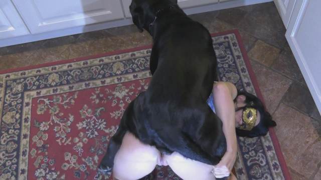 DVDs sexo bizarro dogbond site de tubo de sexo zoo animal Mulheres brasileiras trepam com garanhão ZOO pornô com animais. vídeos gratuitos de bestialidade Vídeos porno de zoofilia con perros y caballos que follan a las chicas zoofílicas