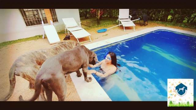 cachorro gozando fodas com animais Filmes para Download cachorro de pau duro Mulher batendo punheta pro cachorro Cachorro comendo e gozando no cu da casada bunduda Assista pornografia de bestialidade gratuita