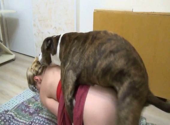 cabeluda peluda  sexo com animais fodas com animais Mulher trepando com cavalão enquanto marido cornao assiste cachorro comendo buceta pornografia animal Cavalo de Pau Molhado e Mulher Chupando