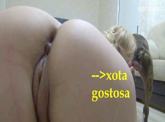 cabeluda peluda  sexo com animais fodas com animais Mulher Transando Com Cachorro Cachorro dá um nó na buceta da e engata o pinto até gozar Cachorro arrombando buceta da dona vídeos pornôs de animais grátis