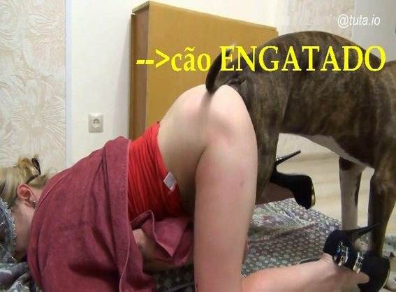cabeluda peluda  sexo com animais fodas com animais Bestiality woman having sex with animals alisonprod mulher chupando a pica do cachorro Cavalo de Pau Molhado e Mulher Chupando