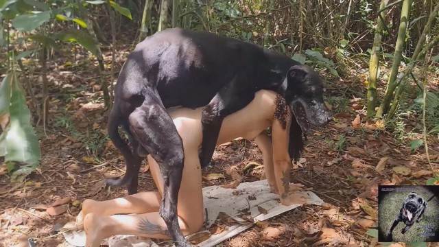 xoxota fodas com animais zoofilia cavalo mete com força na buceta mulher de quatro no chiqueiro dando para um porco animal sexo tubo Cachorro dá um nó na buceta da e engata o pinto até gozar