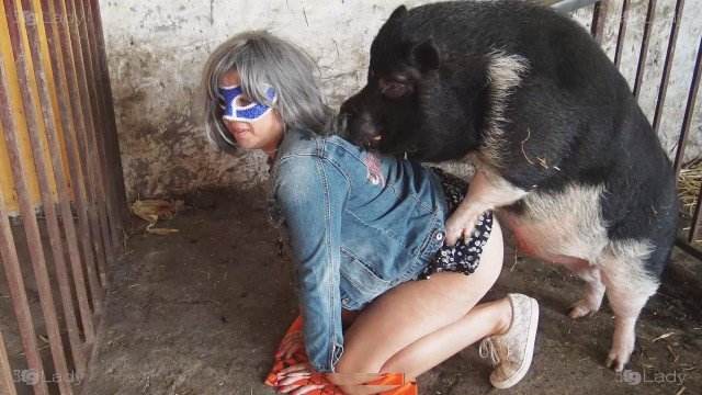 dogbond pinto de cavalo sexo bizarro k9lady pornô zoofilia com oral Cavalo de Pau Molhado e Mulher Chupando O javali gozador na buceta da garota nova