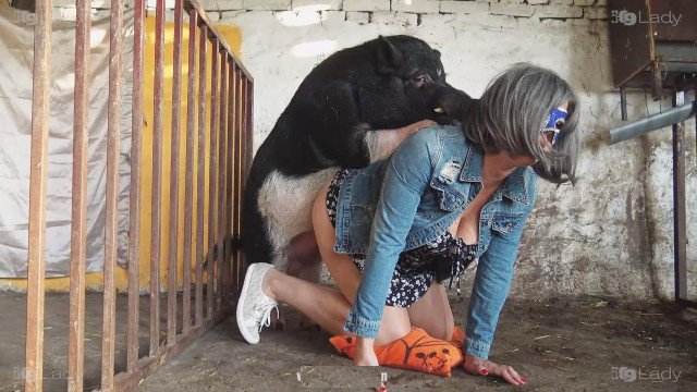 dogbond pinto de cavalo sexo bizarro Mulher batendo punheta pro cachorro Bestiality woman having sex with animals Andy Private Caledonian ,ZOOdelight ,Zooskool ZOOSEX animal sexo tubo