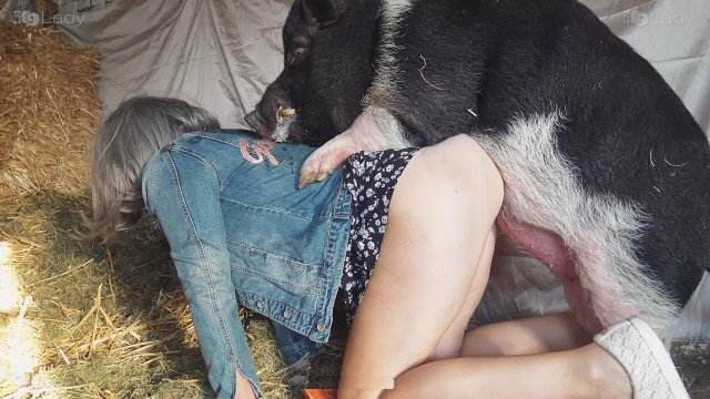 dogbond pinto de cavalo sexo bizarro porco comendo buceta Mulheres brasileiras trepam com garanhão sexo bizarro zoofilia selvagem