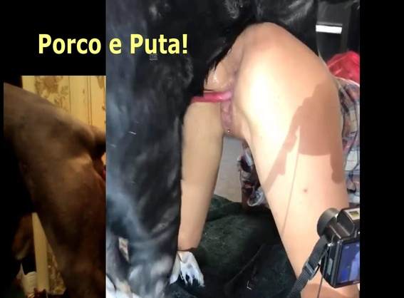 xoxota cachorro gozando fodas com animais Filmes Pornô Com Cachorros - Zoofilia Amadora mulher chupando a pica do cachorro pornô zoofilia com oral cachorro comendo buceta