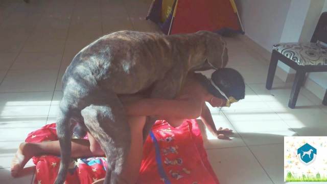 DVDs fodas com animais cabeluda Cachorro comendo e gozando no cu da casada bunduda porco comendo a buceta Mad GloryQuest Japones sexo com cachorro Assista pornografia de bestialidade gratuita