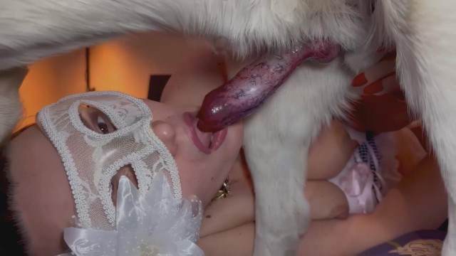 sexo bizarro zoofilia fodas com animais k9lady Cachorro comendo o Cu da empregada Cavalo gozando dentro da buceta de uma loira cavala animal sexo tubo