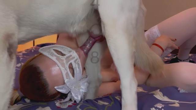 sexo bizarro zoofilia fodas com animais k9lady Cachorro dá um nó na buceta da e engata o pinto até gozar Cachorro comendo o Cu da empregada Porno Bizarro - Sexo Gratis