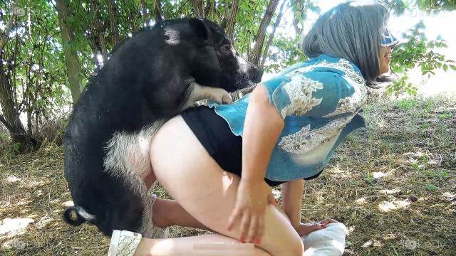 DVDs sexo bizarro Filmes para Download porco comendo buceta cachorro de pau duro Mad GloryQuest Japones sexo com cachorro Cachorro comendo e gozando no cu da casada bunduda
