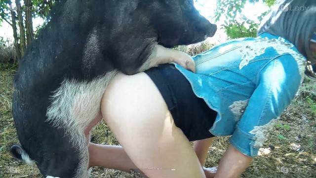 DVDs sexo bizarro Filmes para Download Cachorro comendo o Cu da empregada cavalo de pau duro Pornô de cavalo gozando dentro de mulher Bestiality woman having sex with animals